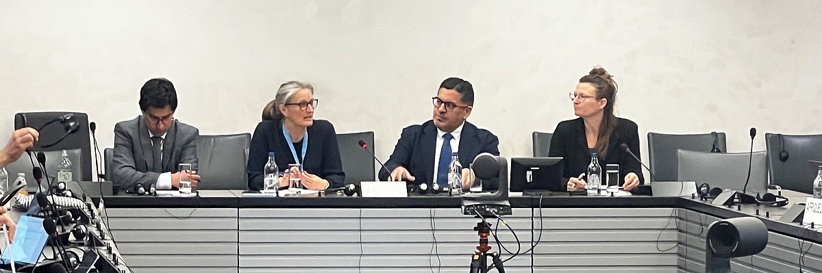 Panel at HRC Side Event and Report Launch, Palais des Nations, Geneva
