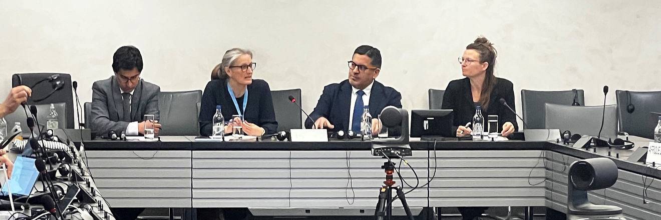 Panel at HRC Side Event and Report Launch, Palais des Nations, Geneva
