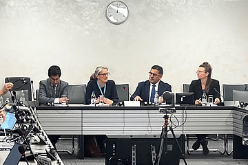 Panel at HRC Side Event and Report Launch, Palais des Nations, Geneva