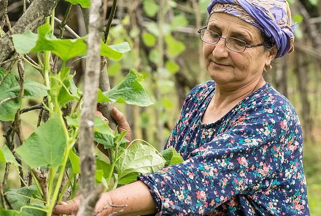 Elderly woman tending to plants in a garden