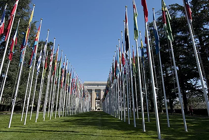 Flags on the Avenue of the United Nations in Geneva. 9 April 2015