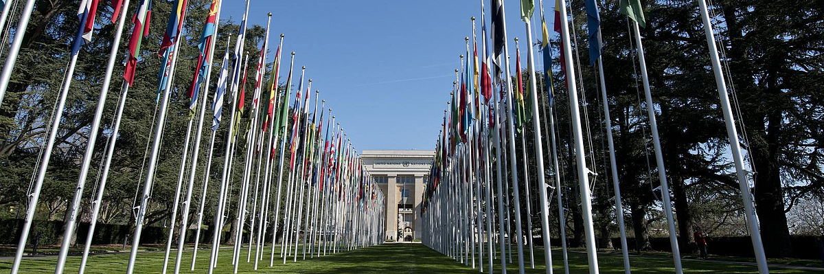 Allée des drapeaux of the United Nations in Geneva. 9 April 2015 von: Jean-Marc Ferré Licence: CC BY-NC-ND 2.0