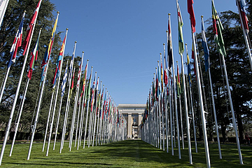 Flags on the Avenue of the United Nations in Geneva. 9 April 2015