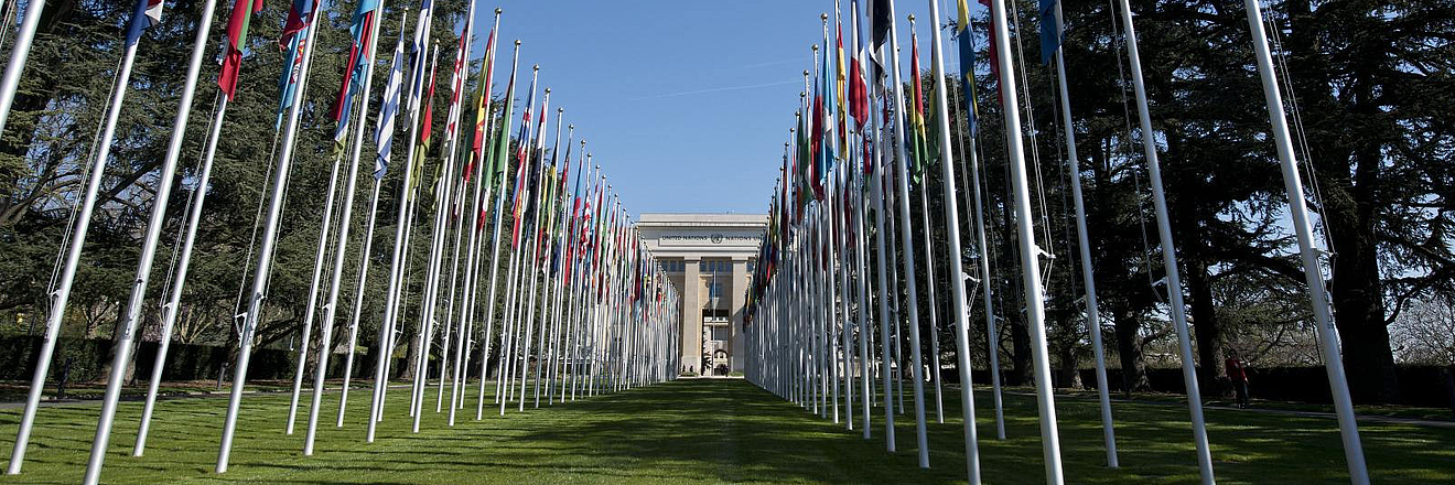 Allée des drapeaux of the United Nations in Geneva. 9 April 2015 von: Jean-Marc Ferré Licence: CC BY-NC-ND 2.0