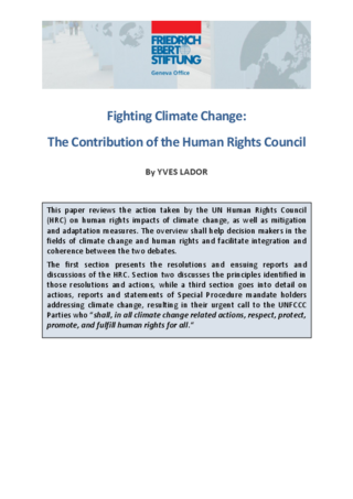 Fighting climate change: the contribution of the Human Rights Council