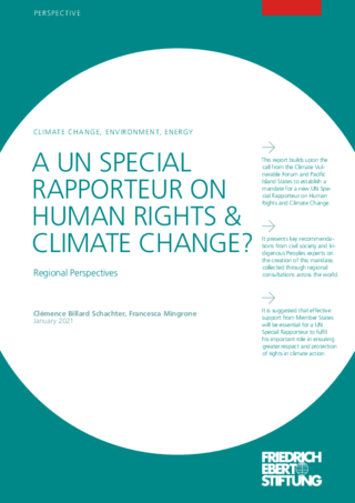A UN special rapporteur on human rights & climate change?